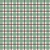 Printed Cotton NATHAN Green / Brown